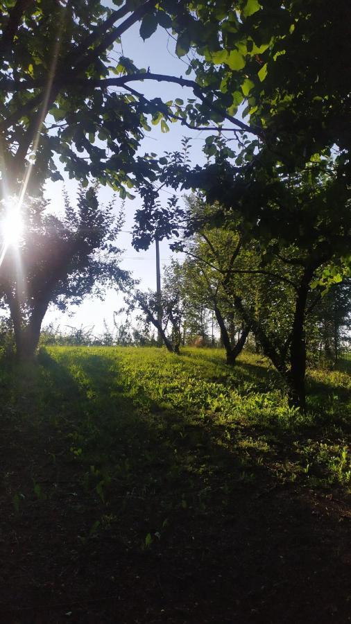 B&B Naturin - Cascina Colombaro Lauriano Экстерьер фото