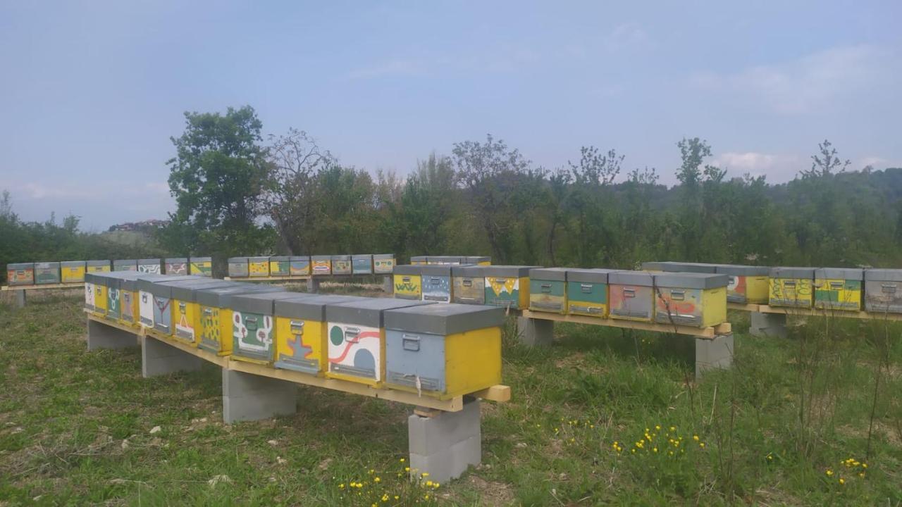 B&B Naturin - Cascina Colombaro Lauriano Экстерьер фото