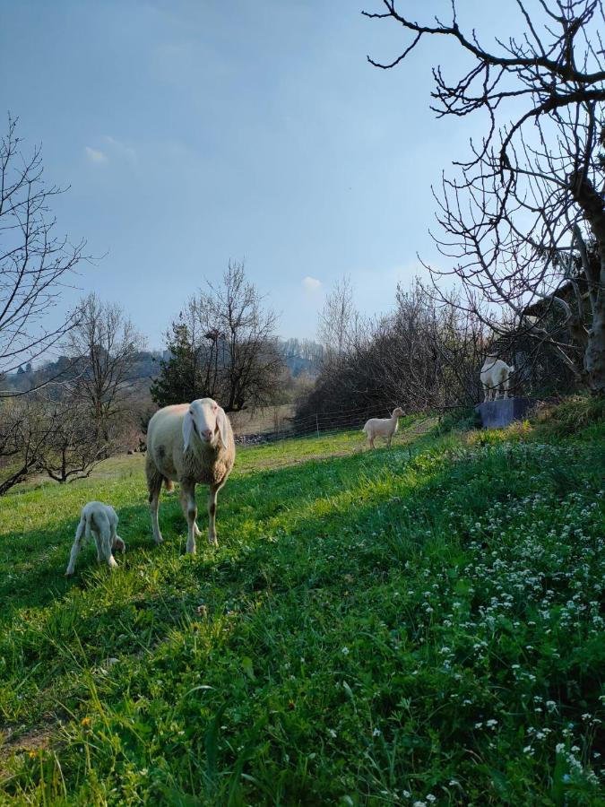 B&B Naturin - Cascina Colombaro Lauriano Экстерьер фото