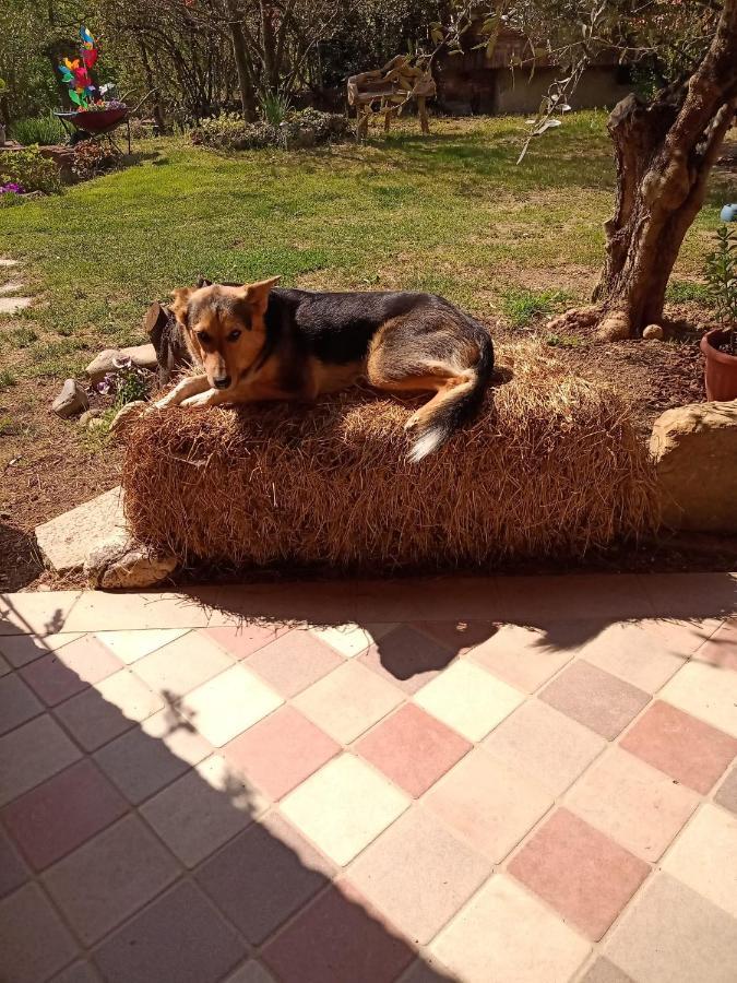 B&B Naturin - Cascina Colombaro Lauriano Экстерьер фото