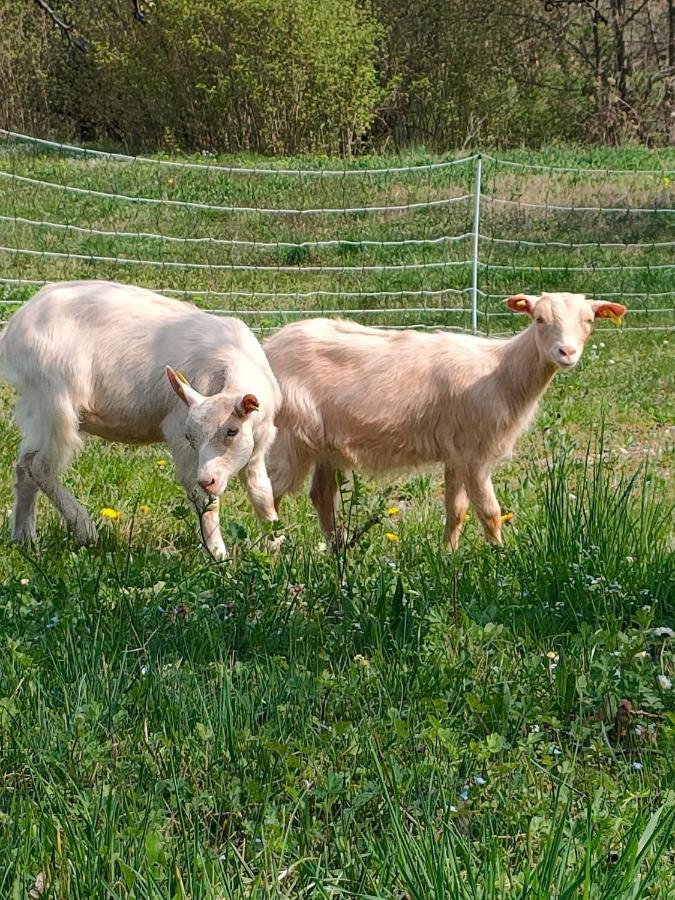 B&B Naturin - Cascina Colombaro Lauriano Экстерьер фото