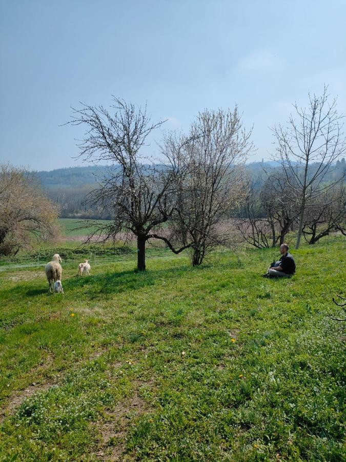 B&B Naturin - Cascina Colombaro Lauriano Экстерьер фото